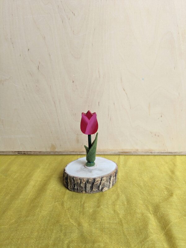 PXL_20240228_122926600 Steker Bloemen (diverse lente)