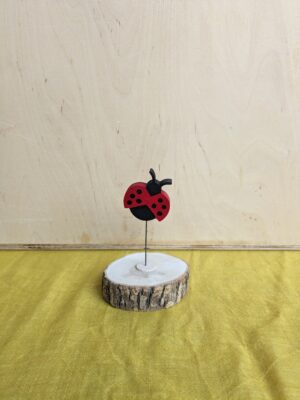 PXL_20240228_122956959 Steker Lieveheersbeestje