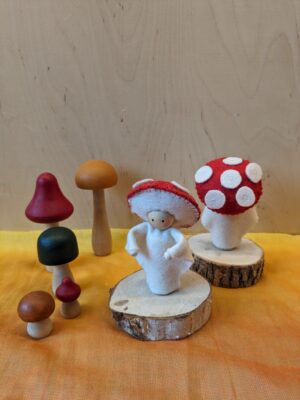 PXL_20230927_081946117 Steker poppetje paddenstoel