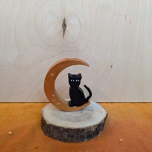 Steker kat op de maan