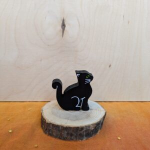 Steker zwarte kat
