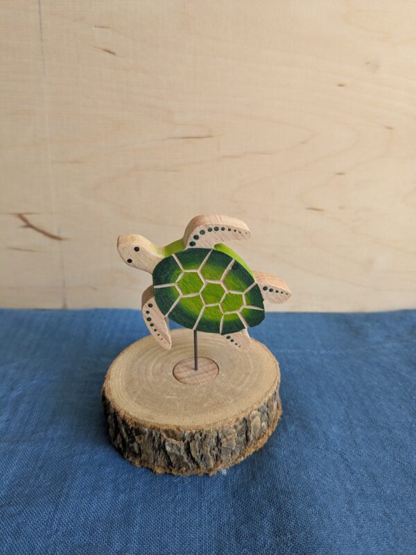 Steker zeeschildpad