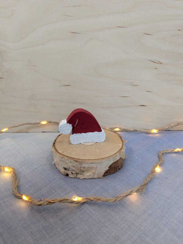 PXL_20251118_083437404 Steker kerstmuts